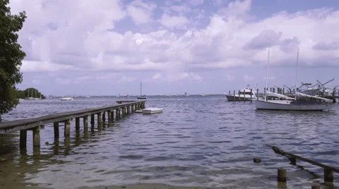 Ocean Path Miami Stock Footage 52745079