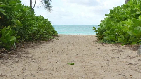 Ocean pathway to Paradise Video stock 155559807