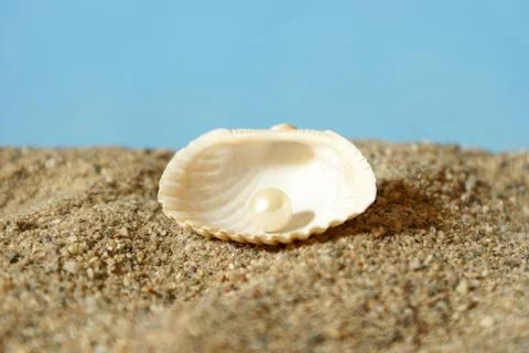 Ocean Pearl Stock Photos