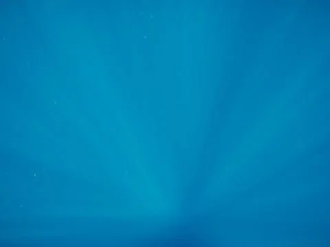 In ocean Stock Photos