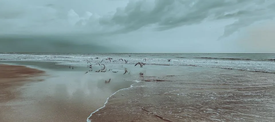 Ocean Foto stock