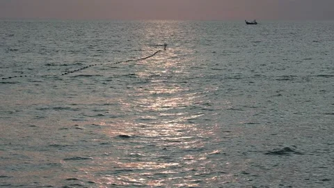 Ocean Phuket Thailand Stock Footage 221757197