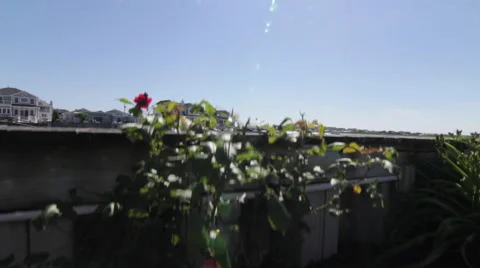 Ocean Pier Crane Up Stock Footage 64944976