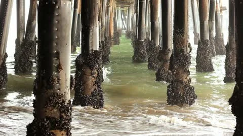Ocean Pier Stock Footage 10911150