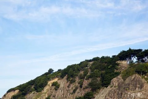 Ocean pines cliff Stock Photos