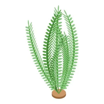 Ocean plant icon isometric vector. Marine alga Stock Illustration