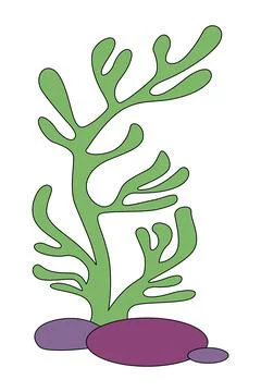 Ocean plants isolated on a white background Stock Illustration