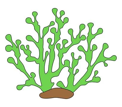 Ocean plants on a white background Illustrazione stock