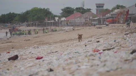 Ocean Plastic Waste Pollution, Dirty Polluted Trash Beach Bali Indonesia Stock Footage 299787332