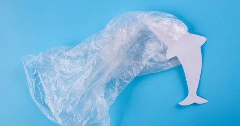 Ocean pollution concept. Ocean animals in plastic bag Stock Footage 115272115