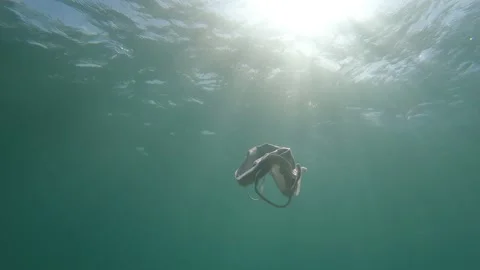 Ocean Pollution for Discarded Mask Stock Footage 137484714