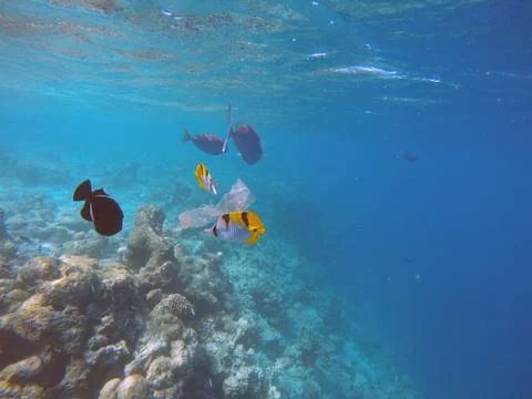 Ocean pollution Stock Photos