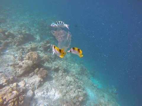Ocean pollution Stock Photos
