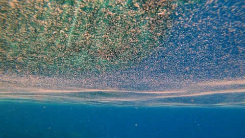 Ocean pollution sediment floating on the surface Fiji Stock Footage 90649187