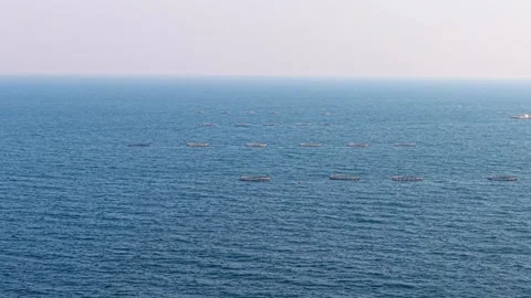 The ocean ranch Stock Footage 301540005