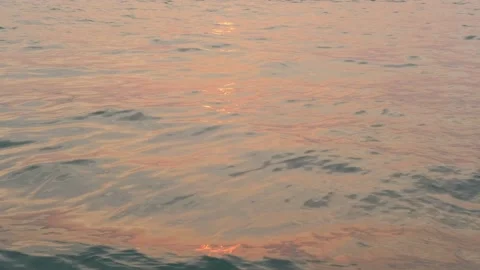 Ocean in the rays of the setting sun. Ocean shore in purple sunset. Twilight. Stock Footage 134122505