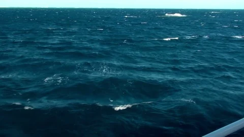 Ocean, recorded from a ship Stock Footage 74014448