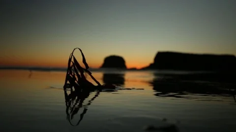 Ocean reflection Stock Footage 73304450