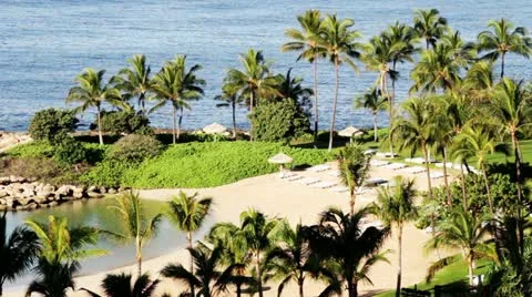 Ocean Resort Oahu Hawaii Stock Footage