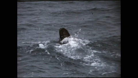 Ocean Retriever 1974 Video stock 167232826