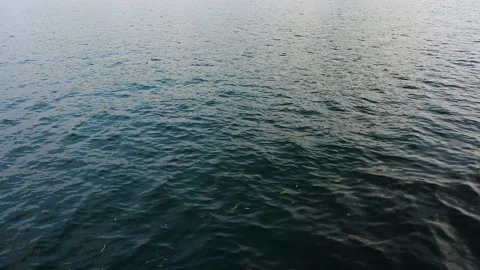 Ocean ripple wave with the nature reflections Stock-Footage 142247353
