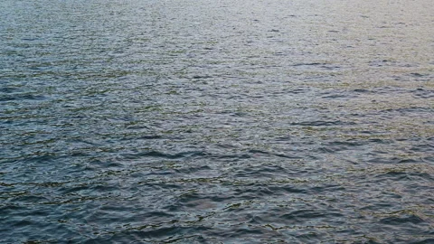 Ocean ripple wave with the nature reflections Stock-Footage 142343129