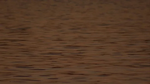 Ocean Ripples at Dusk Close Up Stock Footage 79018331