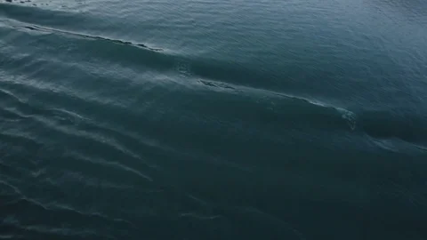 Ocean ripples Stock Footage 70342851