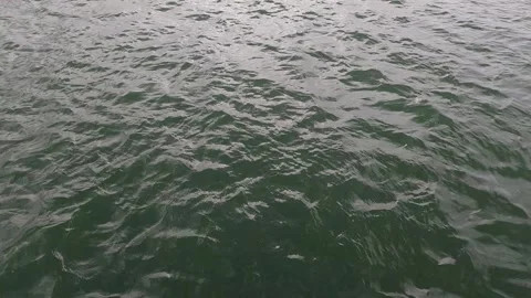 Ocean River at Twilight Stock Footage 287561980