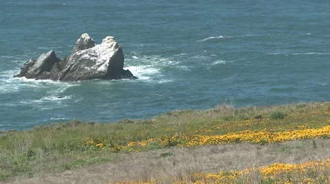 Ocean Rock 動画素材 1078087