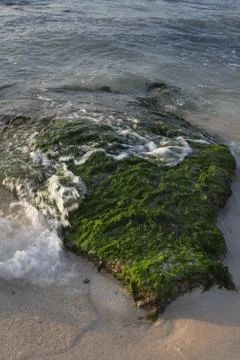 Ocean rock Stockfoto's