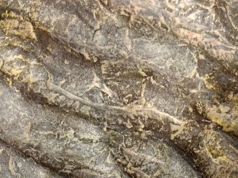 Ocean Rock Ripple Marks Stock Footage 72378867