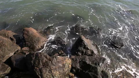 Ocean Rocks Stock Footage 954247
