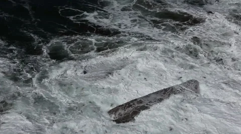 Ocean on Rocks Vídeo Stock 27939302