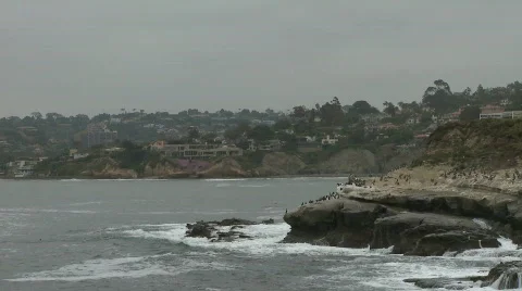 Ocean, Rocks, Seagull 01 Video stock 751742