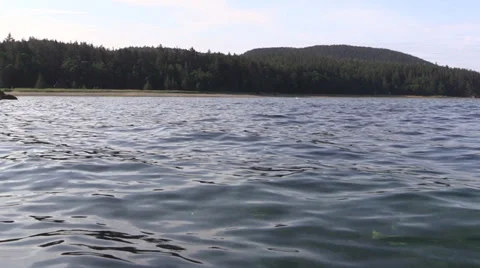 Ocean salmon jumping 스톡 동영상 27760498