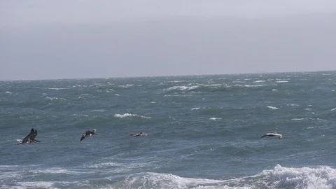 Ocean San-Francisco Stock Footage 108643375