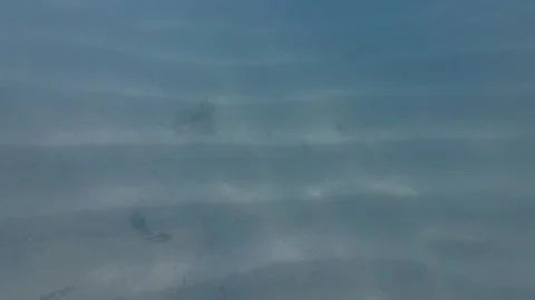 Ocean sand floor Stock Footage 258501943