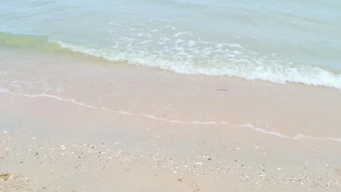 Ocean sandy beach and blue water, summer vacation and travel concept Stock Footage 234766045