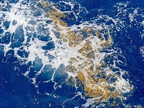 Ocean with sargassum algae Stock Photos