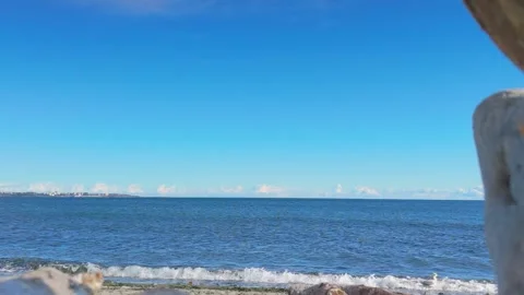 Ocean scene through a frame of driftwood on the sandy shores of Coburg Peninsula Stock Footage 293813140