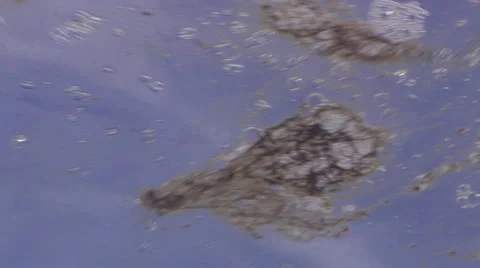 Ocean scenery coral spawn slick, on water surface, HD, UP27875 Stock Footage 62220059