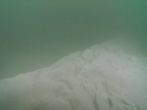 Ocean scenery, current stirring up sediment over featureless rippled sand, on Stock Footage 82608068
