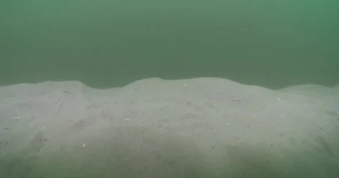 Ocean scenery, current stirring up sediment over mostly empty sand and broken Stock Footage 82608119