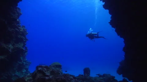 Ocean scenery diver crossing the cavern entrance, great visibility, in cavern, Stock Footage 62204078