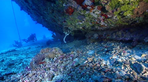 Ocean scenery diver stops to look under hull, on deep coral rubble, HD, UP27572 Stock Footage 62219191