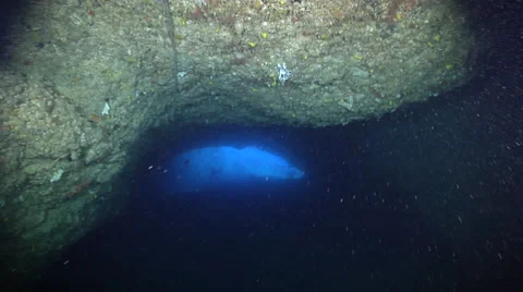 Ocean scenery exploring the roof of a cavern, diver in the bluewater exit in the Stock Footage 61928852