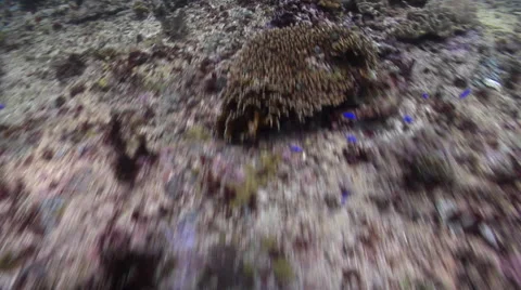 Ocean scenery fast drift shooting down, on shallow coral reef, HD, UP27258 Stock Footage 62220045