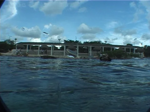 Ocean scenery getting ready to dive off shoreline, on shallow coral reef, UP2215 Stock Footage 38393164