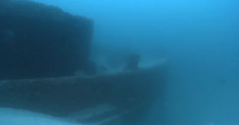Ocean scenery half buried ship, pan stops on butterflyfish, on wreckage, 4K Stock Footage 61919559